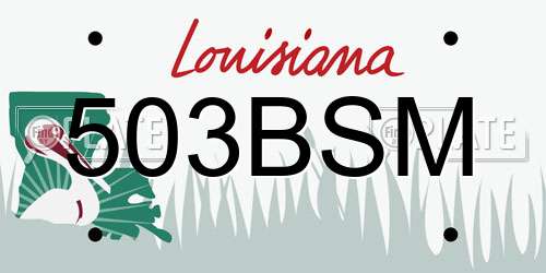 503BSM Louisiana License Plate