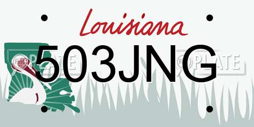 503JNG Louisiana License Plate