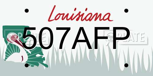 507AFP Louisiana License Plate