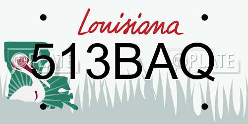513BAQ Louisiana License Plate