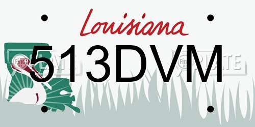 513DVM Louisiana License Plate