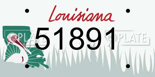 51891 Louisiana License Plate