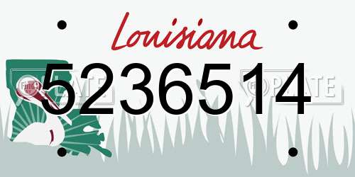 5236514 Louisiana License Plate