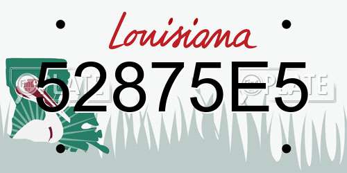 52875E5 Louisiana License Plate
