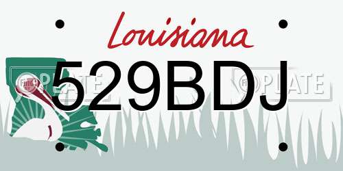 529BDJ Louisiana License Plate