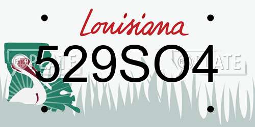 529SO4 Louisiana License Plate