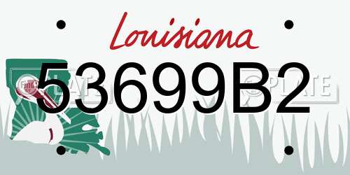 53699B2 Louisiana License Plate