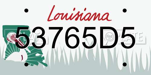 53765D5 Louisiana License Plate