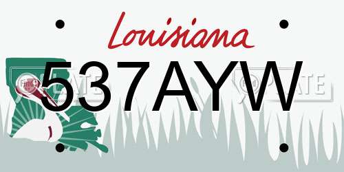 537AYW Louisiana License Plate