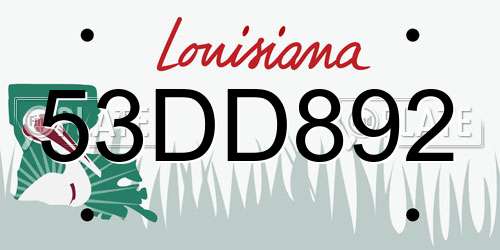 53DD892 Louisiana License Plate