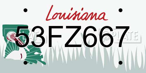 53FZ667 Louisiana License Plate