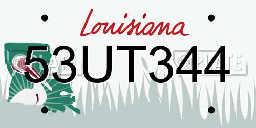 53UT344 Louisiana License Plate