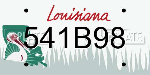 541B98 Louisiana License Plate