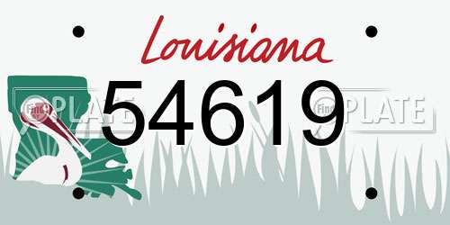 54619 Louisiana License Plate