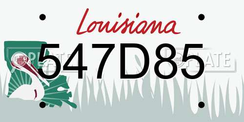 547D85 Louisiana License Plate