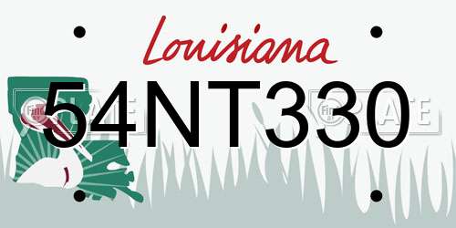 54NT330 Louisiana License Plate