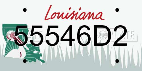 55546D2 Louisiana License Plate