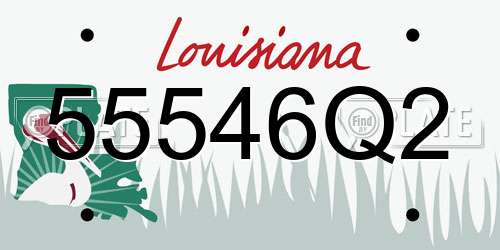 55546Q2 Louisiana License Plate
