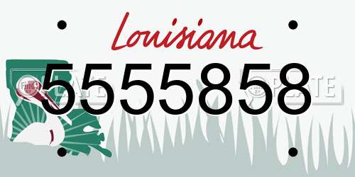 5555858 Louisiana License Plate