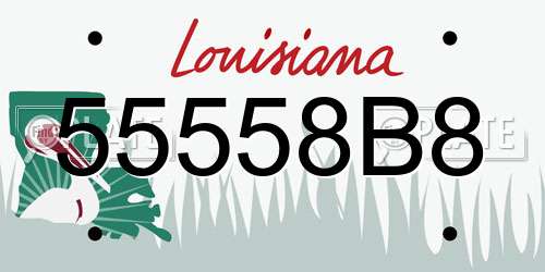 55558B8 Louisiana License Plate