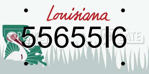 55655I6 Louisiana License Plate