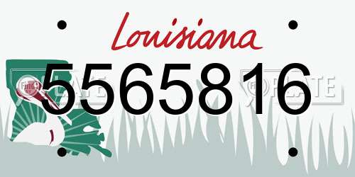 5565816 Louisiana License Plate