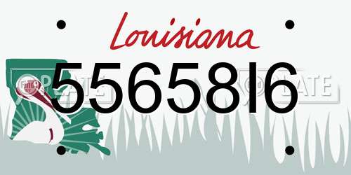55658I6 Louisiana License Plate