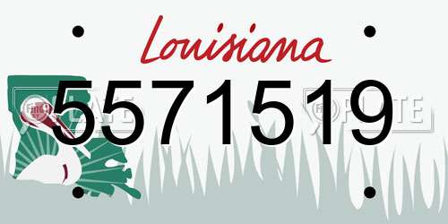 5571519 Louisiana License Plate
