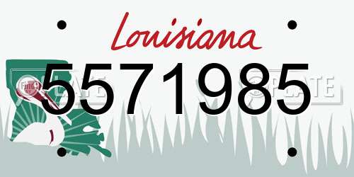 5571985 Louisiana License Plate
