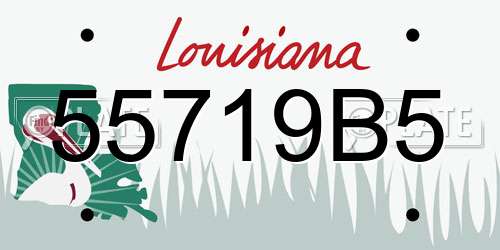 55719B5 Louisiana License Plate