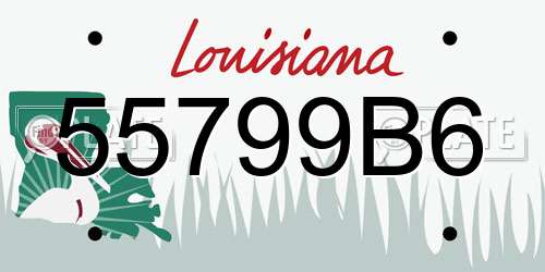 55799B6 Louisiana License Plate