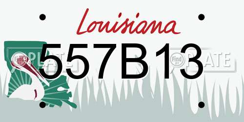 557B13 Louisiana License Plate