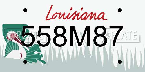 558M87 Louisiana License Plate