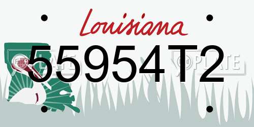 55954T2 Louisiana License Plate