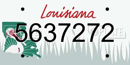 5637272 Louisiana License Plate