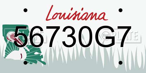 56730G7 Louisiana License Plate