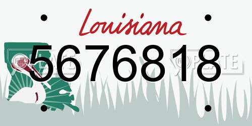 5676818 Louisiana License Plate
