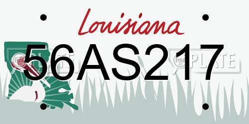 56AS217 Louisiana License Plate