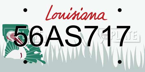 56AS717 Louisiana License Plate