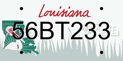 56BT233 Louisiana License Plate
