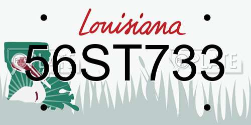56ST733 Louisiana License Plate