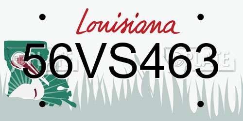 56VS463 Louisiana License Plate