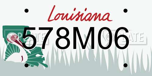 578M06 Louisiana License Plate