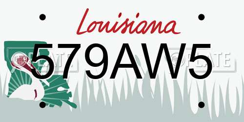 579AW5 Louisiana License Plate