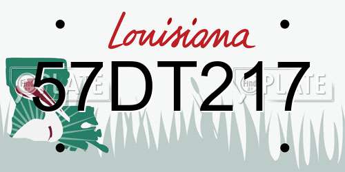 57DT217 Louisiana License Plate