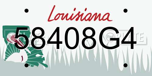 58408G4 Louisiana License Plate