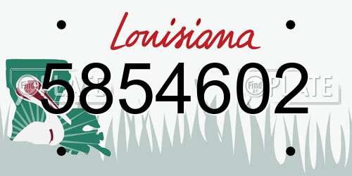 5854602 Louisiana License Plate