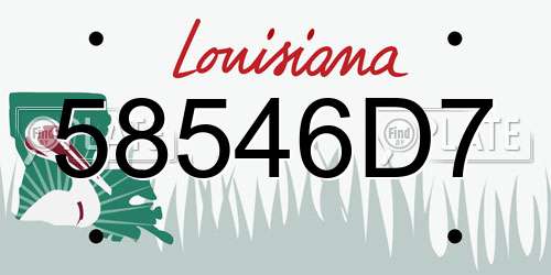 58546D7 Louisiana License Plate