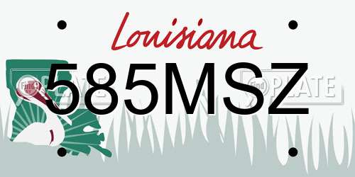 585MSZ Louisiana License Plate