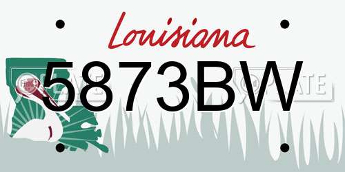 5873BW Louisiana License Plate